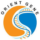 PT. Lintang Diagnostik Sukses (ORIENT GENE)